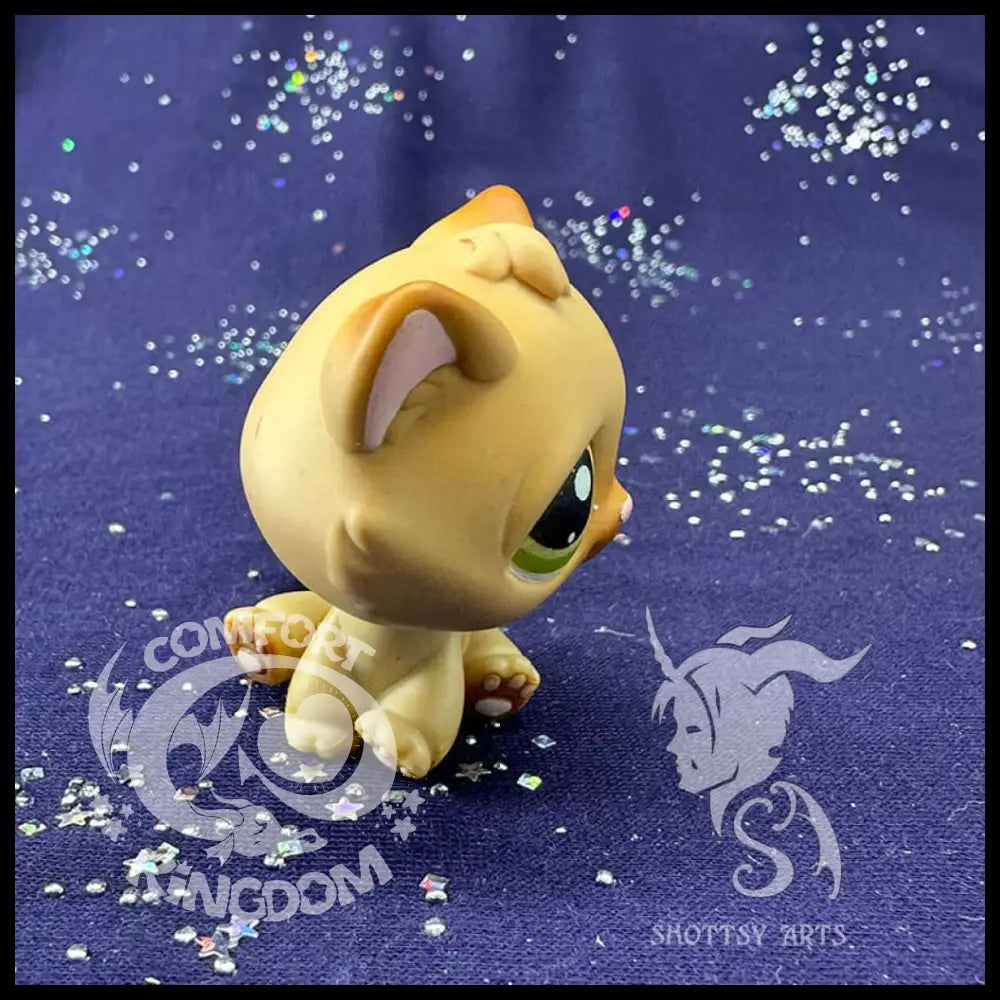 Kitten V3 Action Figure