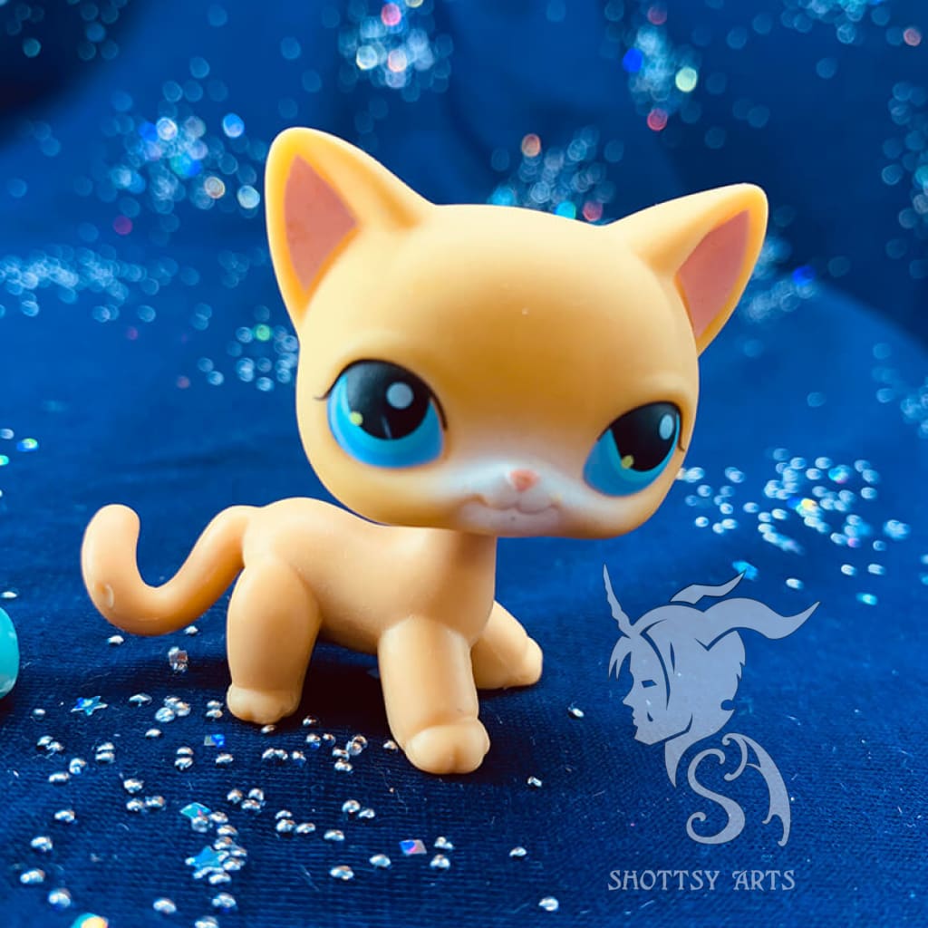 Curious Kitties Playset Action Figure